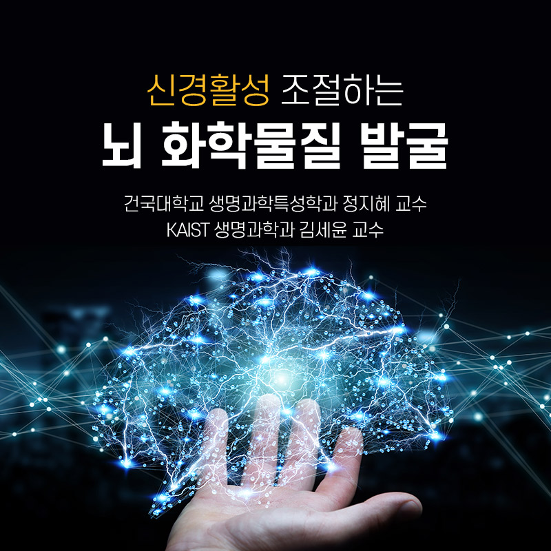 신경활성 조절하는 뇌 화학물질 발굴 건국대학교 생명과학특성학과 정지혜 교수 KAIST 생명과학과 김세윤 교수