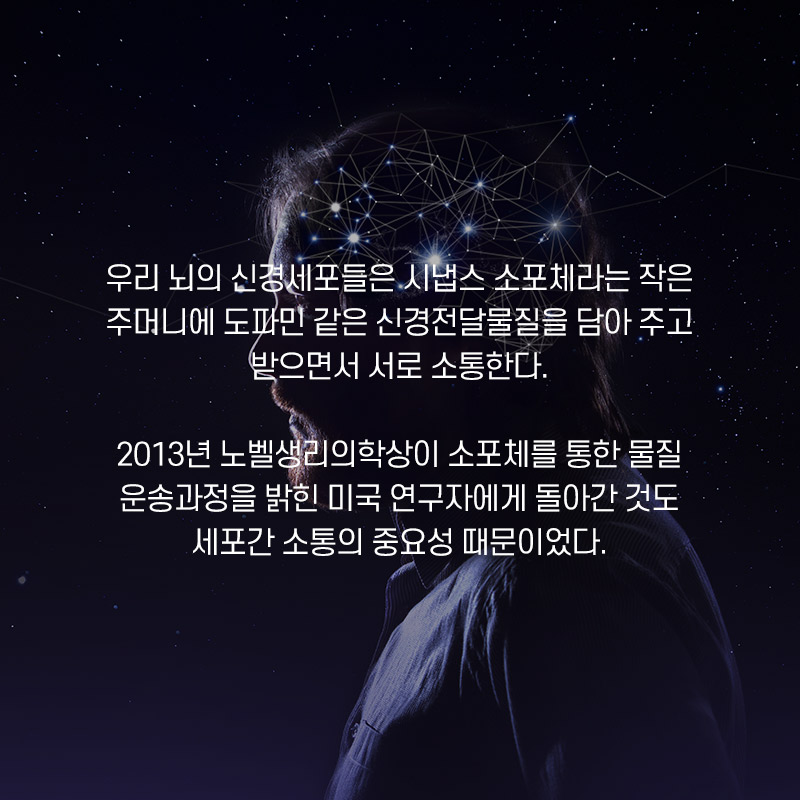 우리 뇌의 신경세포들은 시냅스 소포체라는 작은 주머니에 도파민 같은 신경전달물질을 담아 주고 받아면서 서로 소통한다. 2013년 노벨생리의학상이 소포체를 통한 물질 운송과정을 밝힌 미국 연구자에게 돌아간 것도 세포간 소통의 중요성 때문이었다.