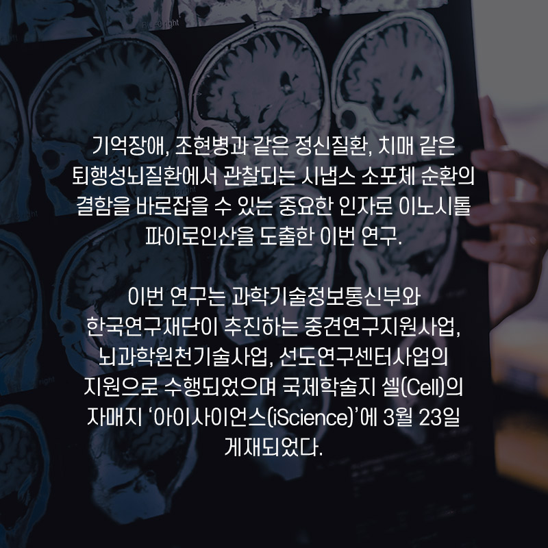 기억장애, 조현병과 같은 정신질환, 치매같은 퇴행성뇌질환에서 관찰되는 시냅스 소포체 순환의 결함을 바로잡을수 있는 중요한 인자로 이노시톨 파이로인산을 도출한 이번 연구. 이번 연구는 과학기술정보통신부와 한국연구재단이 추진하는 중견연구지원사업, 뇌과학원천기술사업, 선도연구센터사업의 지원으로 수행되었으며 국제학술지 셀(Cell)의 자매지 '아이사이언스(iScience)'에 3월 23일 게재되었다.