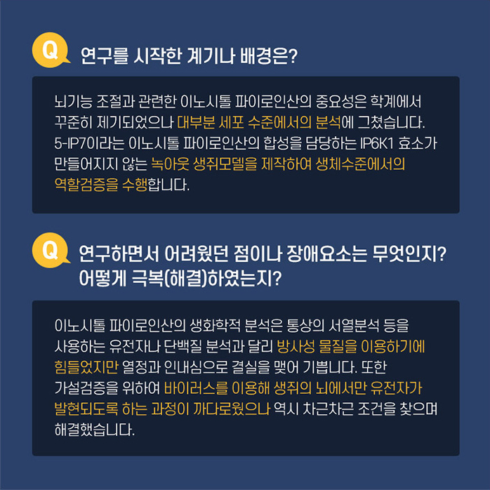 Q. 연구를 시작한 계기나 배경은? 뇌기능 조절과 관려난 이노시톨 파이로인산의 중요성은 학계에서 꾸준히 제기되었으나 대부분 세포 수준에서의 분석에 그쳤습니다. 5-IP7이라는 이노시톨 파이로인산의 합성을 담당하는 IP6K1d 효소가 만들어지지 않는 녹아웃 생쥐모델을 제작하여 생체수준에서의 역할검증을 수행합니다. Q.연구하면서 어려웠던 점이나 장애요소는 무엇인지? 어떻게 극복(해결)하였는지? 이노시톨 파이로인산의 생화학적 분석은 통상의 서열분석 등을 사용하는 유전자나 단백질 분석과 달리 방사성 물질을 이용하기에 힘들었지만 열정과 인내심으로 결실을 맺어 기쁩니다. 또한 가설검증을 위하여 바이러스를 이용해 생쥐의 뇌에서만 유전자가 발현되도록 하는 과정이 까다로웟으나 역시 차근차근 조건을 찾으며 해결합니다. 
