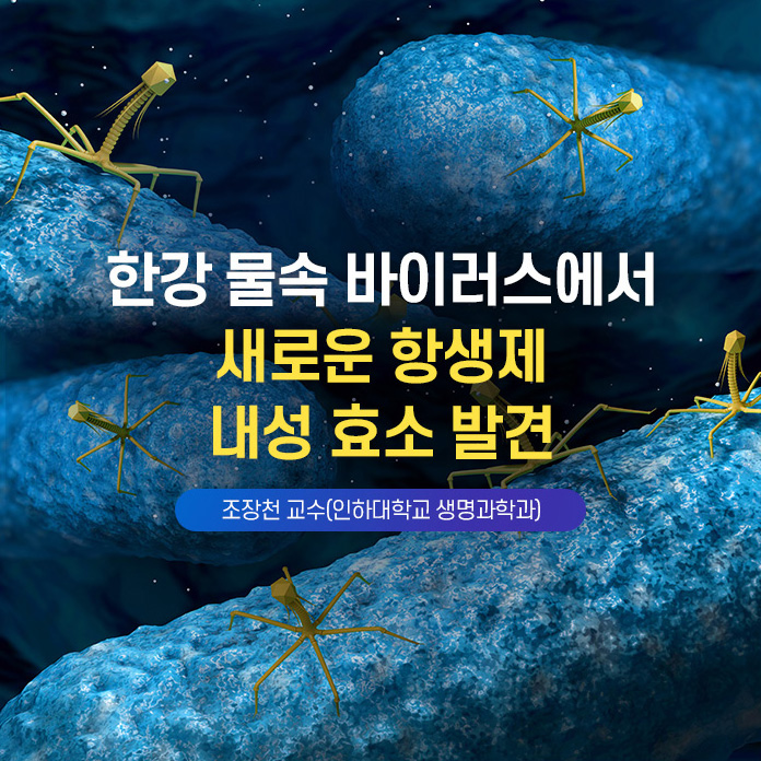 이차원 나노물질 멕신으로 슈퍼전도성 섬유 제조, 한태희 교수(한양대학교 유기나노공학과)