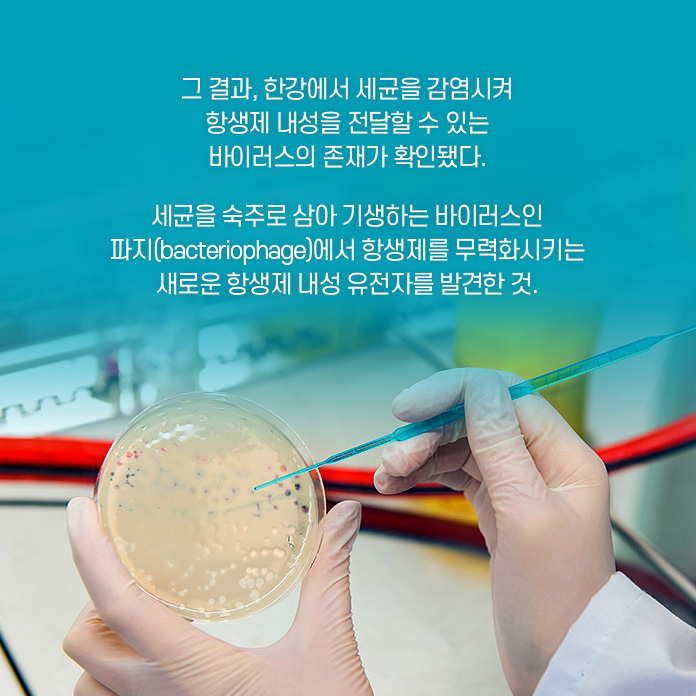 이중 멕신은 중금속원자를 이용해 제조한 얇은 판 모양의 소재다. 전기전도성과 열 전도성이 뛰어나고 강도가 높아 차세대 전자제품에 널리 쓰일 것으로 기대되고 있다. 이러한 멕신의 섬유화를 위해 몇몇 연구다즐은 멕신을 포함하는 복합체 섬유를 제조하였으나 순수한 멕신보다 훨씬 낮은 전기 전도도를 나타냈다.