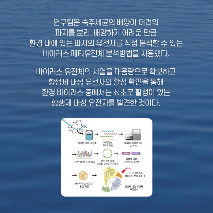 순수한 멕신 섬유를 제조하는 것이 중요한 과제가 된 상황. 연구팀은 연속적인 습식 방사 공정을 이용, 순수한 멕신 섬유를 제조하는데 성공했따. 연속적으로 제조할수있으며, 제조된 섬유는 높은 전기 전도성(7,713 S/cm)을 가졌다. 또한, 높은 유연성과 우수한 기계적 특성을 나타냈다.