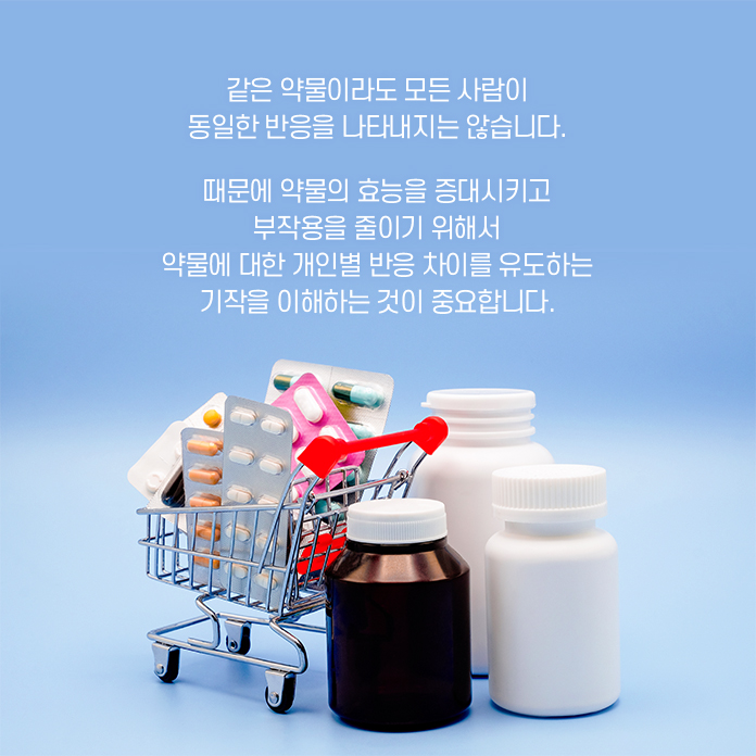그래핀, 질화붕소(h-BN), 질화탄소(g-C3N4), 전이금속 이차 코펜화물(TMD), 흑색 인(BP)과 같은 다양한 2차원 나노물질은 고유의 매력적인 특성들을 갖고 있어 이를 활용한 연구가 활발히 진행되었다. 또한 2차원 나노 물질은 전자, 화학, 물리적, 기계적 특성이 우수한 소재를 개발하기에 용이해 상당한 주목을 받고 있으며, 이를 거시적 구조로 개발하기 위한 많은 전략이 제안되어 왔다.