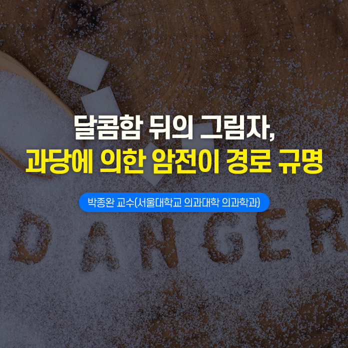 이차원 나노물질 멕신으로 슈퍼전도성 섬유 제조, 한태희 교수(한양대학교 유기나노공학과)