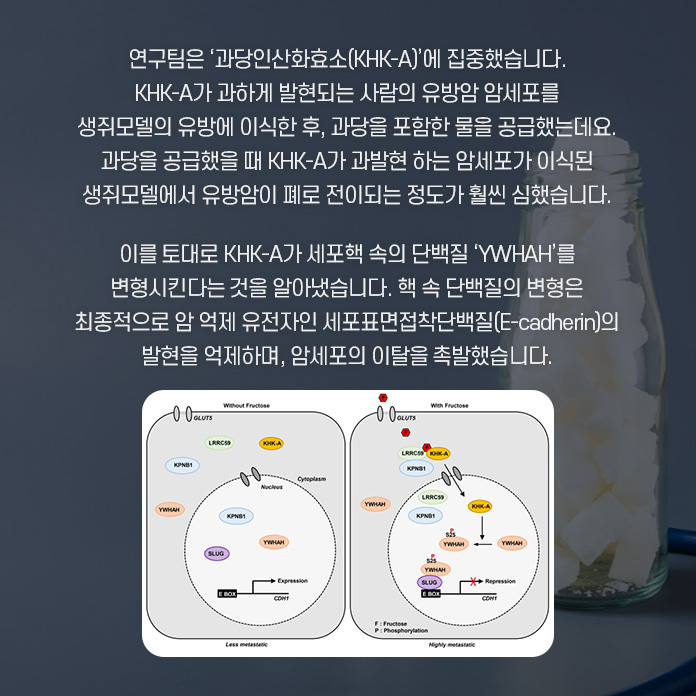 순수한 멕신 섬유를 제조하는 것이 중요한 과제가 된 상황. 연구팀은 연속적인 습식 방사 공정을 이용, 순수한 멕신 섬유를 제조하는데 성공했따. 연속적으로 제조할수있으며, 제조된 섬유는 높은 전기 전도성(7,713 S/cm)을 가졌다. 또한, 높은 유연성과 우수한 기계적 특성을 나타냈다.