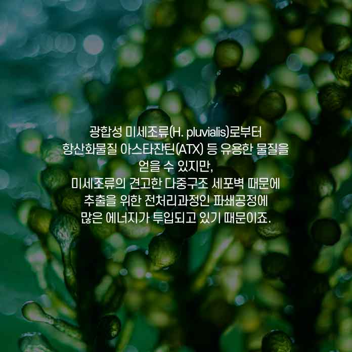 이중 멕신은 중금속원자를 이용해 제조한 얇은 판 모양의 소재다. 전기전도성과 열 전도성이 뛰어나고 강도가 높아 차세대 전자제품에 널리 쓰일 것으로 기대되고 있다. 이러한 멕신의 섬유화를 위해 몇몇 연구다즐은 멕신을 포함하는 복합체 섬유를 제조하였으나 순수한 멕신보다 훨씬 낮은 전기 전도도를 나타냈다.