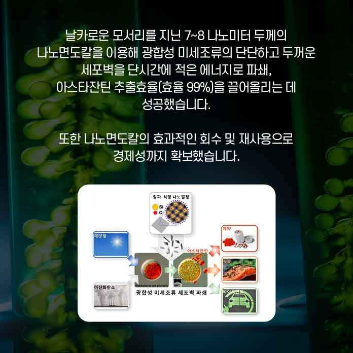 이번 연구를 통해 다양한 특성을 가진 각각의 신소재 섬유들을 만들어 낼 수 있을것으로 기대된다. 제조된 멧니 섬유는 웨어러블 디바이스 제조가 가능하고, 가스 감지 효과도 있어서 의복형 센서로도 이용 가능할 것으로 보인다.