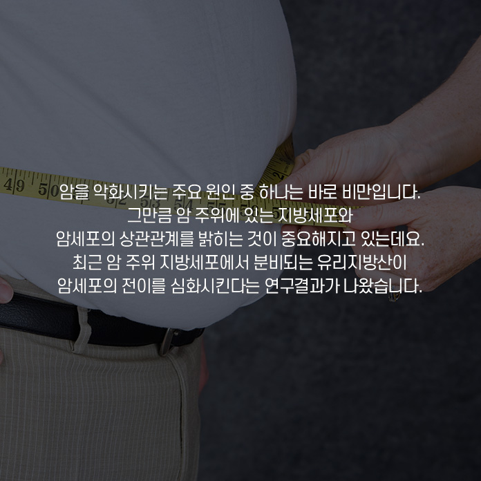 그래핀, 질화붕소(h-BN), 질화탄소(g-C3N4), 전이금속 이차 코펜화물(TMD), 흑색 인(BP)과 같은 다양한 2차원 나노물질은 고유의 매력적인 특성들을 갖고 있어 이를 활용한 연구가 활발히 진행되었다. 또한 2차원 나노 물질은 전자, 화학, 물리적, 기계적 특성이 우수한 소재를 개발하기에 용이해 상당한 주목을 받고 있으며, 이를 거시적 구조로 개발하기 위한 많은 전략이 제안되어 왔다.