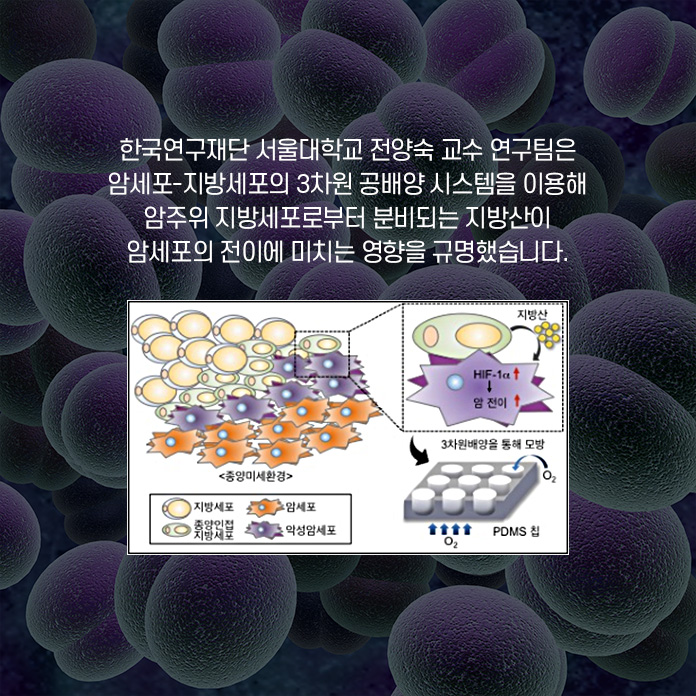 이중 멕신은 중금속원자를 이용해 제조한 얇은 판 모양의 소재다. 전기전도성과 열 전도성이 뛰어나고 강도가 높아 차세대 전자제품에 널리 쓰일 것으로 기대되고 있다. 이러한 멕신의 섬유화를 위해 몇몇 연구다즐은 멕신을 포함하는 복합체 섬유를 제조하였으나 순수한 멕신보다 훨씬 낮은 전기 전도도를 나타냈다.