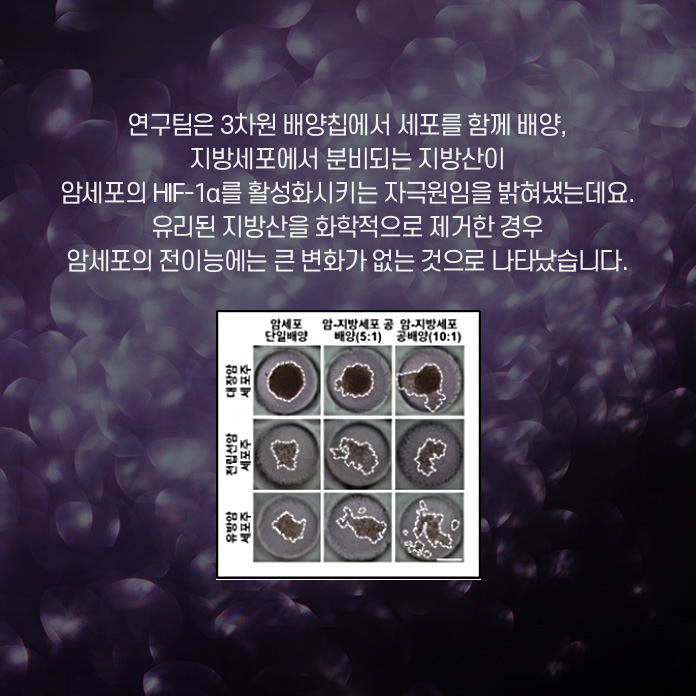 순수한 멕신 섬유를 제조하는 것이 중요한 과제가 된 상황. 연구팀은 연속적인 습식 방사 공정을 이용, 순수한 멕신 섬유를 제조하는데 성공했따. 연속적으로 제조할수있으며, 제조된 섬유는 높은 전기 전도성(7,713 S/cm)을 가졌다. 또한, 높은 유연성과 우수한 기계적 특성을 나타냈다.