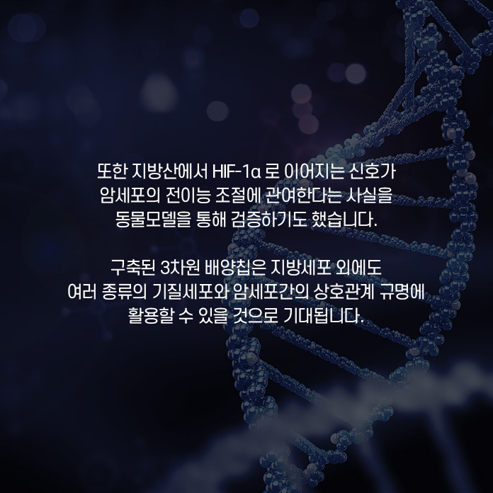 이번 연구를 통해 다양한 특성을 가진 각각의 신소재 섬유들을 만들어 낼 수 있을것으로 기대된다. 제조된 멧니 섬유는 웨어러블 디바이스 제조가 가능하고, 가스 감지 효과도 있어서 의복형 센서로도 이용 가능할 것으로 보인다.