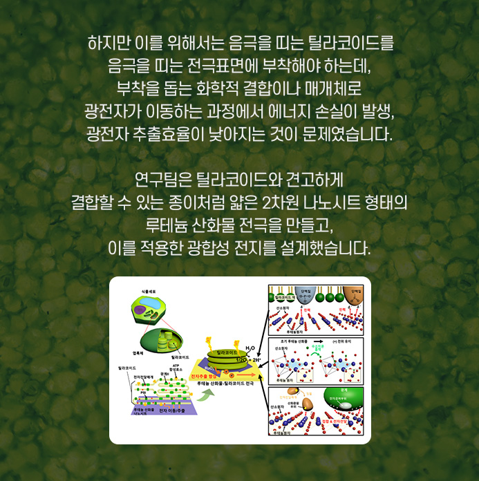 순수한 멕신 섬유를 제조하는 것이 중요한 과제가 된 상황. 연구팀은 연속적인 습식 방사 공정을 이용, 순수한 멕신 섬유를 제조하는데 성공했따. 연속적으로 제조할수있으며, 제조된 섬유는 높은 전기 전도성(7,713 S/cm)을 가졌다. 또한, 높은 유연성과 우수한 기계적 특성을 나타냈다.