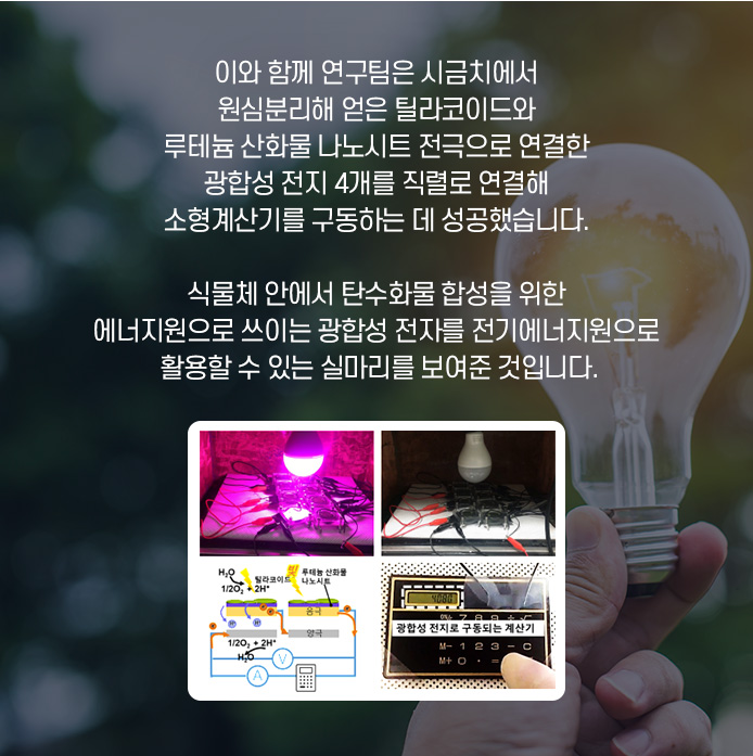 이번 연구를 통해 다양한 특성을 가진 각각의 신소재 섬유들을 만들어 낼 수 있을것으로 기대된다. 제조된 멧니 섬유는 웨어러블 디바이스 제조가 가능하고, 가스 감지 효과도 있어서 의복형 센서로도 이용 가능할 것으로 보인다.
