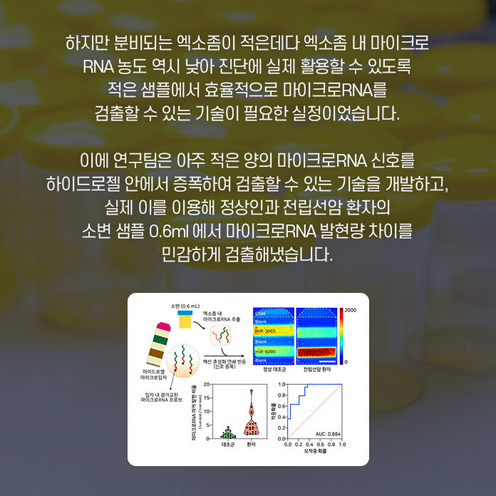 하지만 분비되는 엑소좀이 적은데다 엑소좀 내 마이크로 RNA 농도 역시 낮아 진단에 실제 활용할 수 있도록 적은 샘플에서 효율적으로 마이크로 RNA를 검출할 수 있는 기술이 필요한 실정이었습니다. 이에 연구팀은 아주 적은 양의 마이크로 RNA 신호를 하이드로젤 안에서 증폭하여 검출할 수 있는 기술을 개발하고, 실제 이를 이용해 정상인과 전립선암 환자의 소변 샘플 0.6ml에서 마이크로 RNA 발현량 차이를 민감하게 검출해냈습니다. 