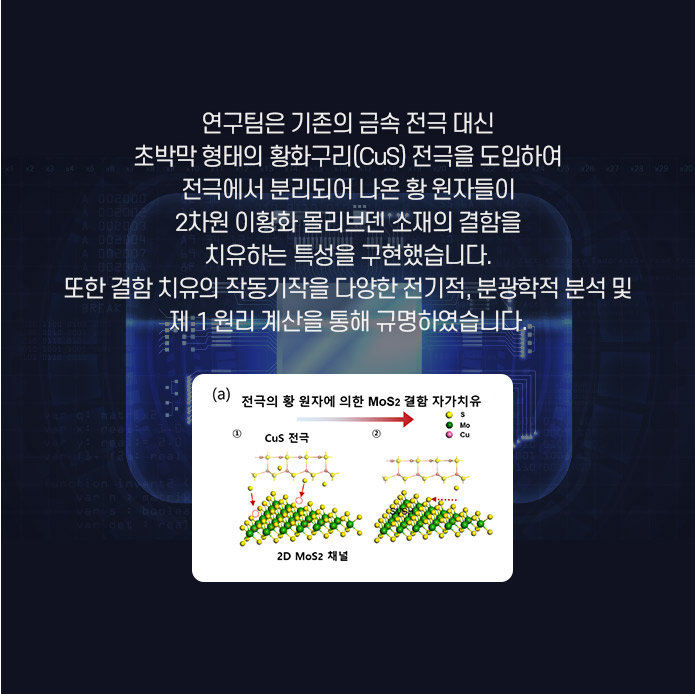하지만 분비되는 엑소좀이 적은데다 엑소좀 내 마이크로 RNA 농도 역시 낮아 진단에 실제 활용할 수 있도록 적은 샘플에서 효율적으로 마이크로 RNA를 검출할 수 있는 기술이 필요한 실정이었습니다. 이에 연구팀은 아주 적은 양의 마이크로 RNA 신호를 하이드로젤 안에서 증폭하여 검출할 수 있는 기술을 개발하고, 실제 이를 이용해 정상인과 전립선암 환자의 소변 샘플 0.6ml에서 마이크로 RNA 발현량 차이를 민감하게 검출해냈습니다. 
