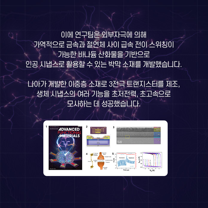 이에 연구팀은 외부자극에 의해 가역적으로 금속과 절연체 사이 급속 전이 스위칭이 가능한 바나듐 산화물을 기반으로 인공 시냅스로 활용할 수 있는 박막 소재를 개발했습니다. 나아가 개발한 이중층 소재로 3전극 트랜지스터를 제조, 생체 시냅스의 여러 기능을 초저전력, 초고속으로 모사하는 데 성공했습니다.