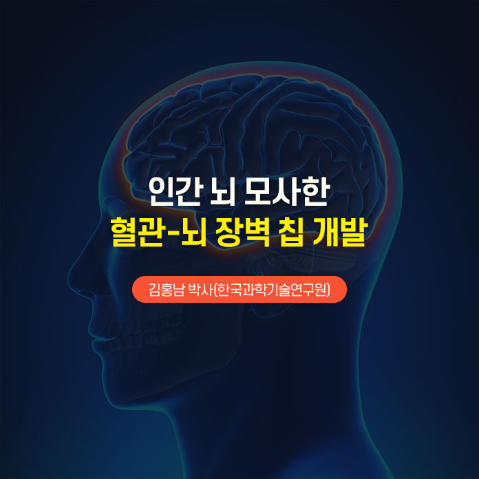 인간 뇌 모사한 혈관-뇌 장벽 칩 개발 | 김홍남 박사(한국과학기술연구원