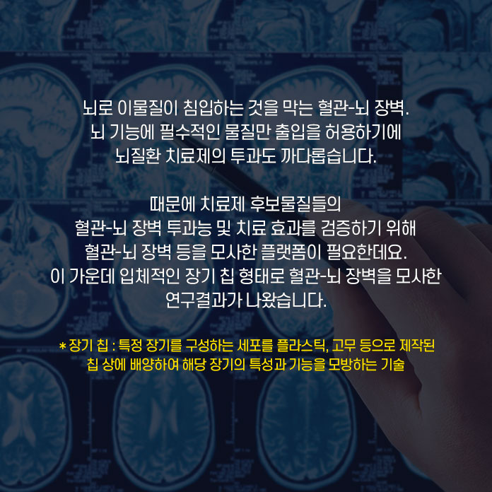 뇌로 이물질이 침입하는 것을 막는 혈관-뇌 장벽. 뇌 기능에 필수적인 물질만 출입을 허용하기에 뇌질환 치료제의 투과도 까다롭습니다. 때문에 치료제 후보물질들의 혈관-뇌 장벽 투과능 및 치료 효과를 검증하기 위해 혈관-뇌 장벽 등을 모사한 플랫폼이 필요한데요. 이 가운데 입체적인 장기 칩 형태로 혈관-뇌 장벽을 모사한 연구결과가 나왔습니다. *장기칩 : 특정 자기를 구성하는 세포를 플라스틱, 고무 등으로 제작된 칩 상에 배양하여 해당 장기의 특성과 기능을 모방하는 기술 