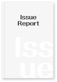 Issue Report