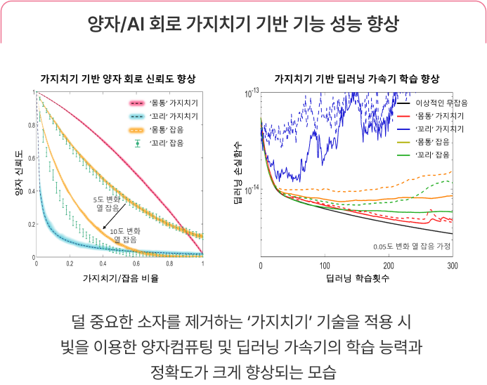 양자/AI 회로 가지치기 기반 기능 성능 향상