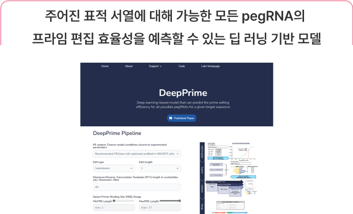 광자회로 가지치기 개념도