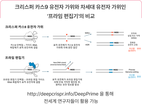 양자/AI 회로 가지치기 기반 기능 성능 향상