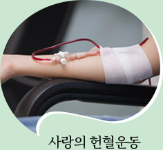 사랑의 헌혈운동
